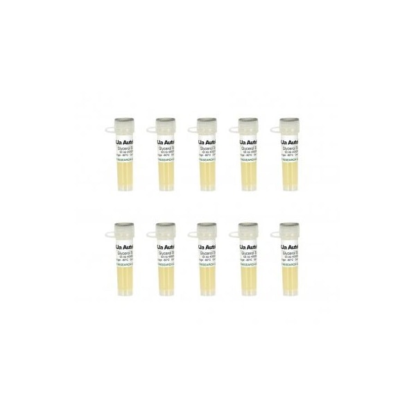 Zymo Research XJa(DE3) Autolysis, 10x100uml Mix & Go competent cells and 1ml 500X L-Arabinose ZT3031 - main